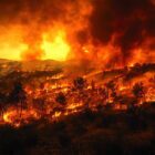 Pacific Palisades and Eaton Fires